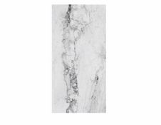 ZZ-RAK-AGB46MDMBWHEZHSC3P - Rak Maximum Medicea Marble Slab - 1200mm x 2400mm - White. ...