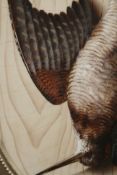 Trompe l'oeil by Michelangelo Meucci (Italian, 1840-1890)