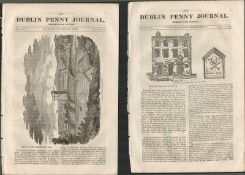 2 Antique Editions 1832 Dublin Penny Journal Wexford Galway Dublin-172 Original Antique Editions