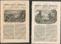2 Antique Editions 1832 Dublin Penny Journal Giants Causeway -142 Original Antique Editions Of The