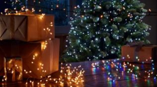 (P) Contents Of Pallet. Trader Lot Of Mixed Christmas Lighting & Trees.
