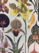 Vintage Botanical Print