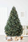 (P12) RRP£250. 7ft Blenheim Pine Pre-lit Premium Christmas Tree. SKU: 603113. Looking for a showsto