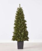(P11) RRP £150. 6ft Madison Potted Pre-lit Artificial Christmas Tree. SKU: 603357. If You Want Your