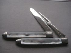 Rare Large George III Mother Of Pearl Hafted Matching Silver Bladed Folding Fruit Knife & Fork