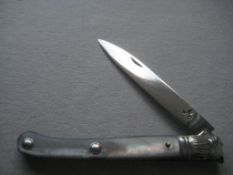 Rare George III Mother Of Pearl Hafted Silver Fruit Knife