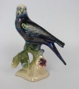 Jema Holland Bird