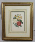 Pierre Joseph Redoute Limited Edition Flower Print Framed
