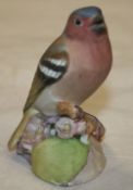 Royal Worcester Bird Chaffinch 3240