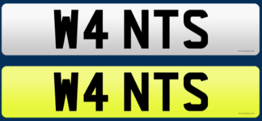W4 NTS