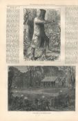 Outlaw Ned Kelly Captured Fierce Gunfight Australia 1880 Antique Ppaer