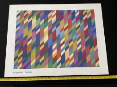 Bridget Riley - Nataraja