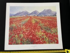 Lionel Aggett - Poppies Outside Gubbio