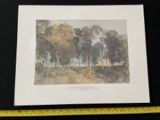 J.M.W Turner - A Group Of Trees Beside The Thames