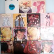 A collection of 14 x Adam and the Ants vinyl records.