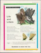 1961 Guinness Vintage Pet Print Rabbits GE. 3384.A