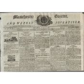 Proclamation for the Capture of the Leader of the Wicklow Rebels 1878 Rebellion