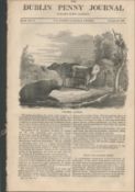 Antique Irish Newspaper 1833 Village of Cushendall Antrim Coast