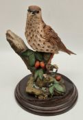 Vintage Model Bird Figure Song Thrush