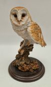 Vintage Model Bird Figure Barn Owl