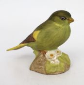 Aynsley Green Finch