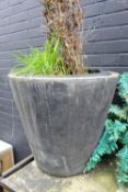Black Planter Pot