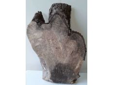 1 x Hardwood Air Dried Sawn Waney Edge / Live Edge English Horse Chestnut Slab