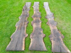 3 x Hardwood Timber Air Dried Sawn English Burr Oak Waney Edge / Live Edge Boards/ Planks