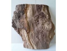 1 x Hardwood Air Dried Sawn Timber English Burr Oak Slab