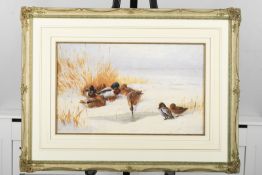 Limited Edition by the late Archibald Thorburn. No.1 of only 195 published.