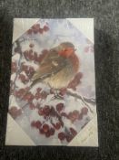L.E.D Christmas Canvas Wall Art Robin Brand New Battery Operated