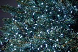 (2E) 7x Mixed Christmas / Garden Lighting Items. 2x 2000 Timer LED Compact Lights Warm White. 1x 20