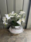 Decoative plant an plant pot. RRP £19.99 - GRADE U