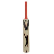 Slazenger Power Blade Youth Cricket Bat