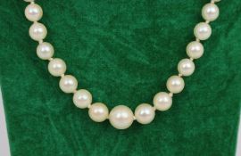 Cultured Pearl Necklace with 9ct Gold Clasp