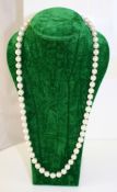 Akoya Pearl Necklace with 19th c. Sapphire Set Clasp