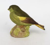 Aynsley Green Finch