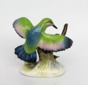 Royal Adderley Humming Bird