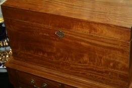 George IV Solid Satinwood Silver Chest on Stand