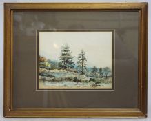Forest Watercolour Mounted & Framed