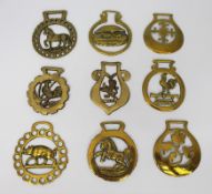 Set of 9 Antique & Vintage Horse Brasses