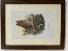 Vintage Wild Bird Framed Print