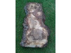 1 x Hardwood Timber Air Dried Sawn English Burr Oak Slab