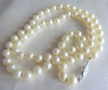 24 inch Single Strand Pearl Necklace