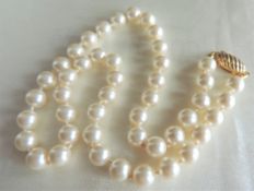18 Inch Single Strand Pearl Necklace