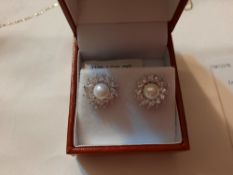 Earrings Richard Designs E145