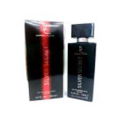 Silver Secret (Men's 100ml Edp)
