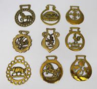 Set of 9 Antique & Vintage Horse Brasses
