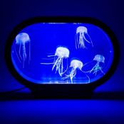 Title: (80/R9) Lot RRP £345. 5x Realistic Jellyfish Light RRP £69 Each. (Items Have Return To
