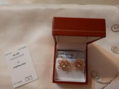 Richard Designs Earrings RRP £49